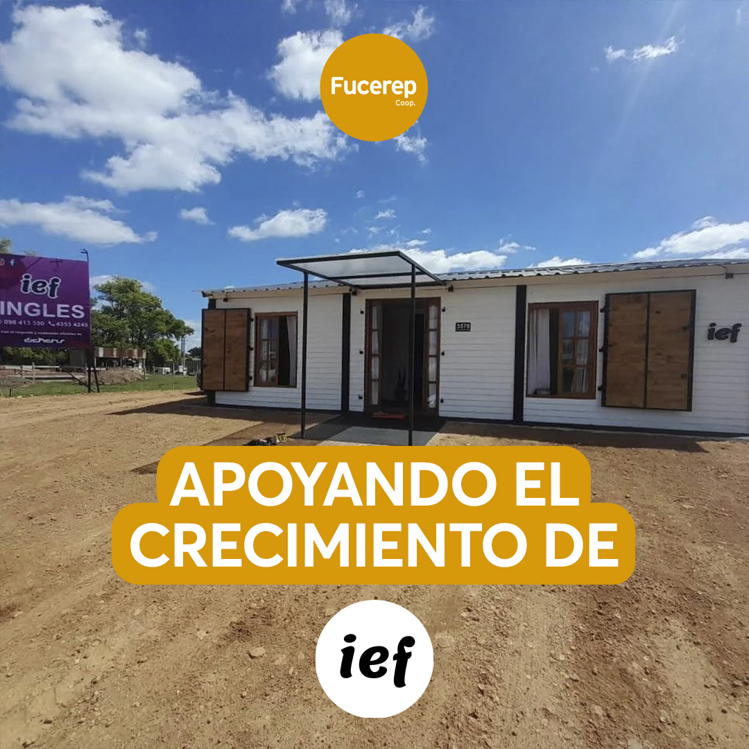 Proyecto IEF Florida